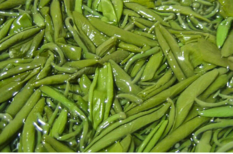 莼菜新鲜蔬菜净菜杭州特产莼菜 新鲜 西湖莼菜 1100g【图片 价格 品牌