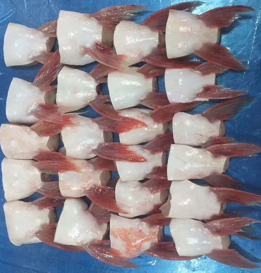 鮰鱼鳍回清江巴沙鱼鳍生鲜淡水鱼鳍鲜活水产烧烤食材 正宗肥嫩鮰鱼翅