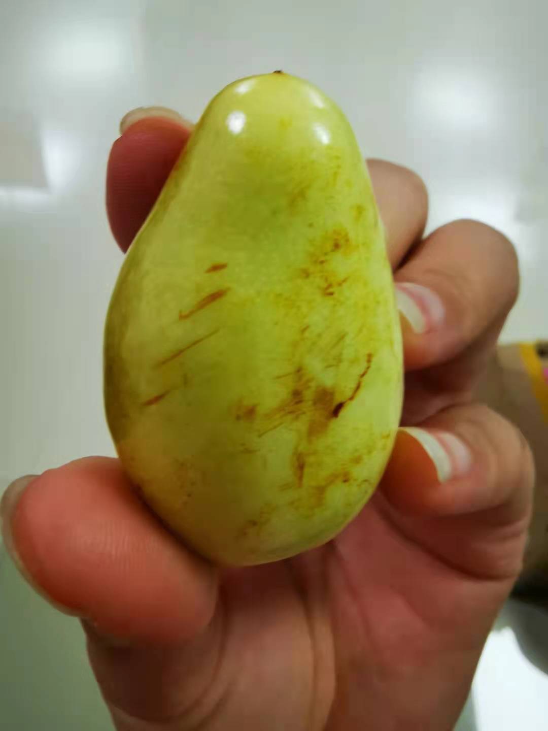 枣 鲜枣新鲜水果冬枣脆甜枣子营养丰富 5斤分享装