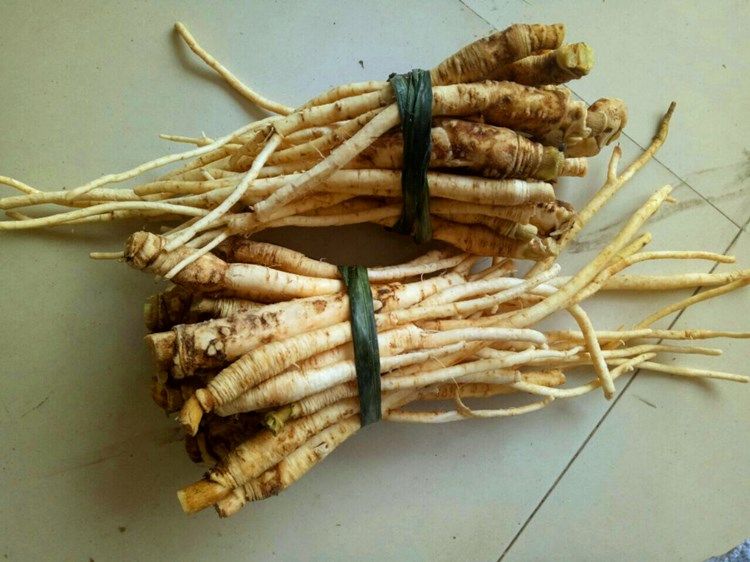 云南特产新鲜茴香根 农家茴香根 茴香菜根煲汤煮汤食材食同源蔬菜