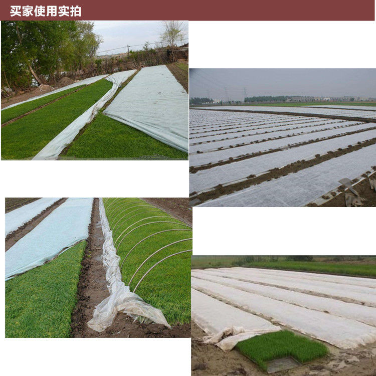 农用育苗无纺布水稻育秧无纺布农用渗水透气膜丰收膜囧仙子 30克1.