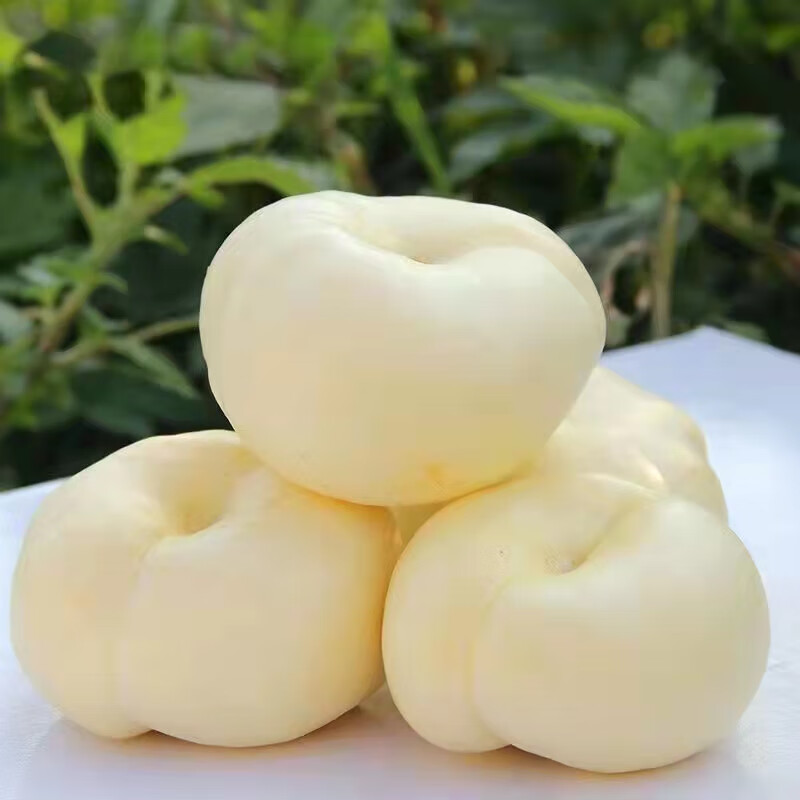 玫栀 山东蒙阴5斤奶油白蟠桃应季新鲜水果现摘白如玉扁桃脆甜多汁 3斤