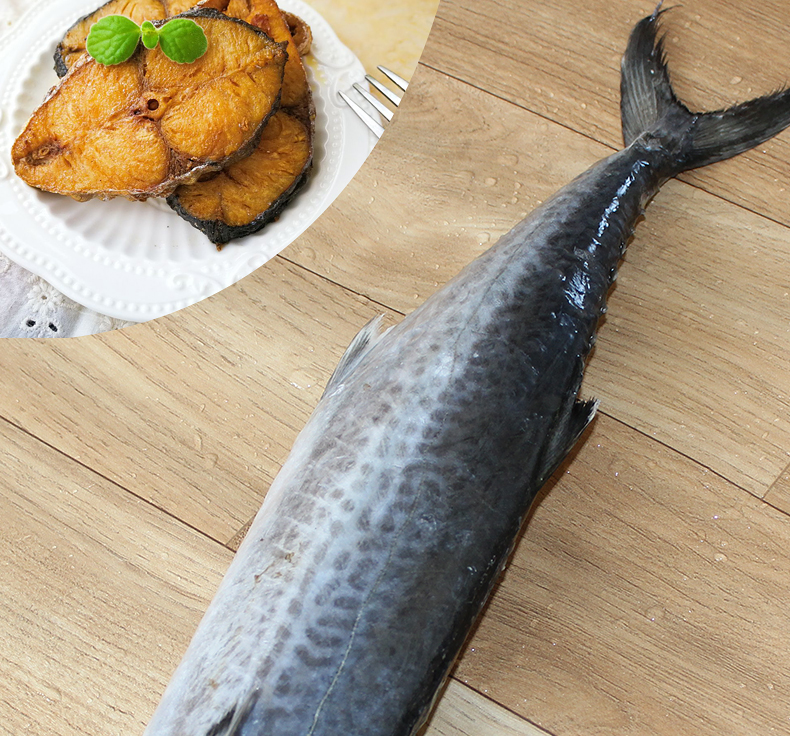 优恦鲜 青岛冷冻新鲜鲜活鲅鱼马鲛鱼燕尾鲅鱼 海鲜海鱼 当天上岸速冻