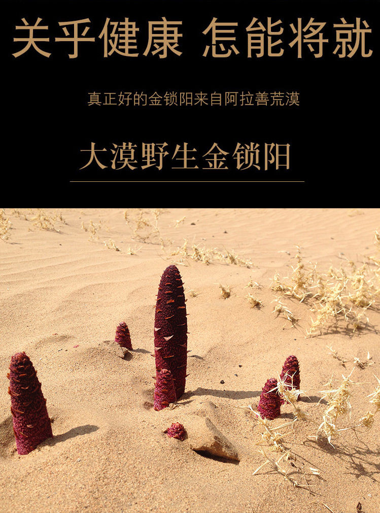 沙漠双雄野生金锁阳肉苁蓉100-500g男性滋补泡茶泡酒料淫羊霍 锁阳250