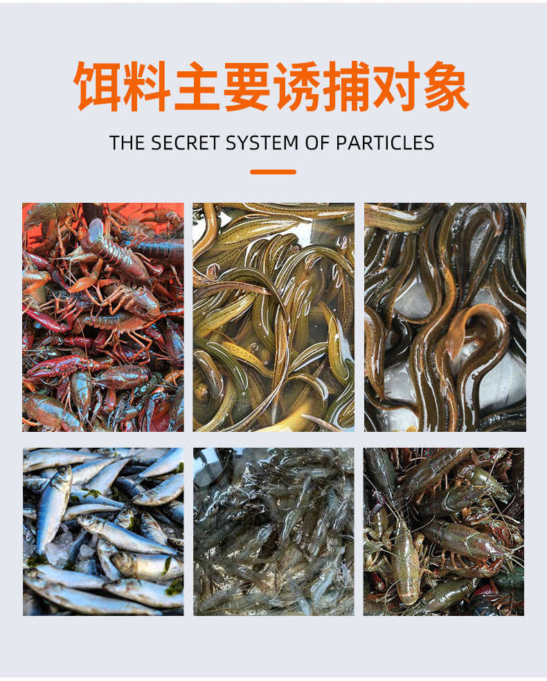 蝦鱔餌蝦籠專用蝦餌顆粒傘籠誘餌抓河蝦龍蝦泥鰍黃鱔魚餌漁具用品蝦鱔