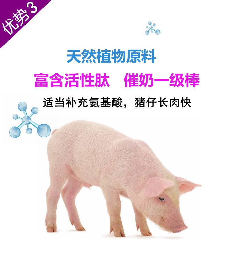 母猪牛羊奶霸王奶霸道下奶催奶奶爸王 1袋【图片 价格 品牌 报价】