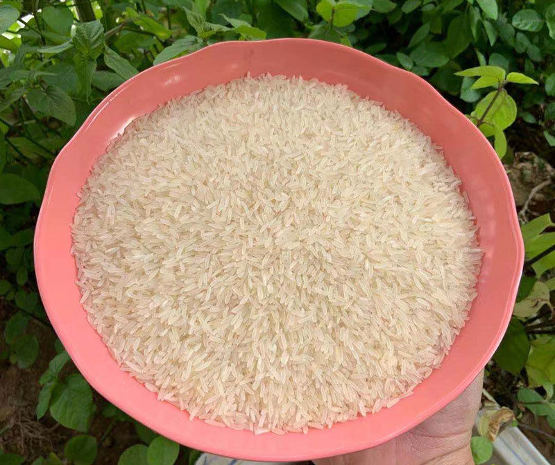 五星珍香米 5kg 丝苗米 象牙粘米 小农粘 放心米 台山原产大米 5kg