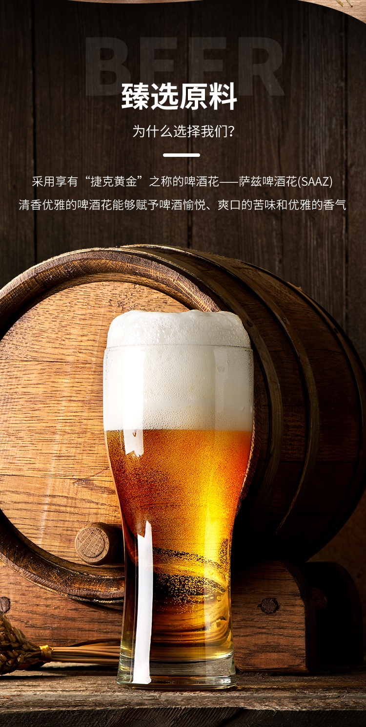 啤酒捷克精酿外国进口原浆白啤瓶装整箱白啤酒weizen 小麦6瓶(4月新