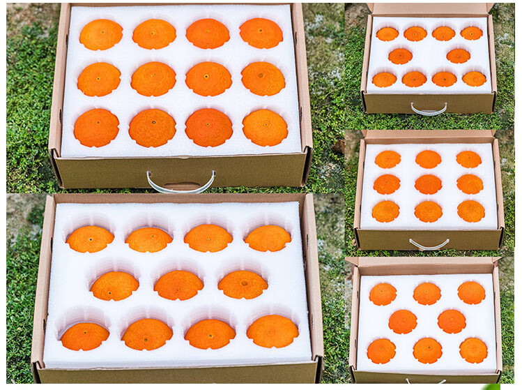 骄瑰 象山红美人柑橘爱媛28号浙江橘子新鲜水果桔子当季整箱薄皮礼盒