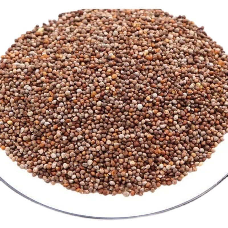 北京同仁堂中药材炒 紫苏籽500克 紫苏子中药 食用 炒紫苏籽 炒熟的