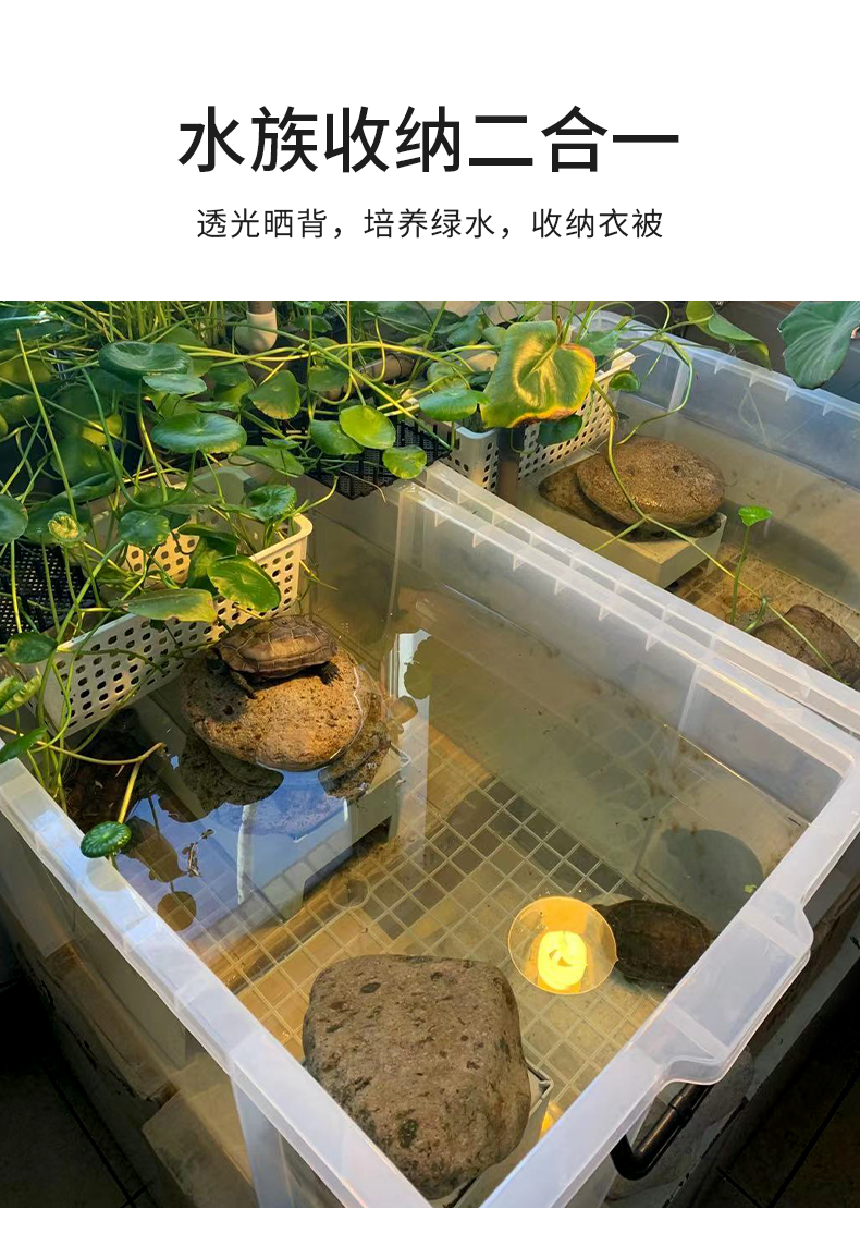 养鱼箱大容量透明高透明塑料养鱼箱乌龟缸家用饲养箱大型养乌龟缸生态