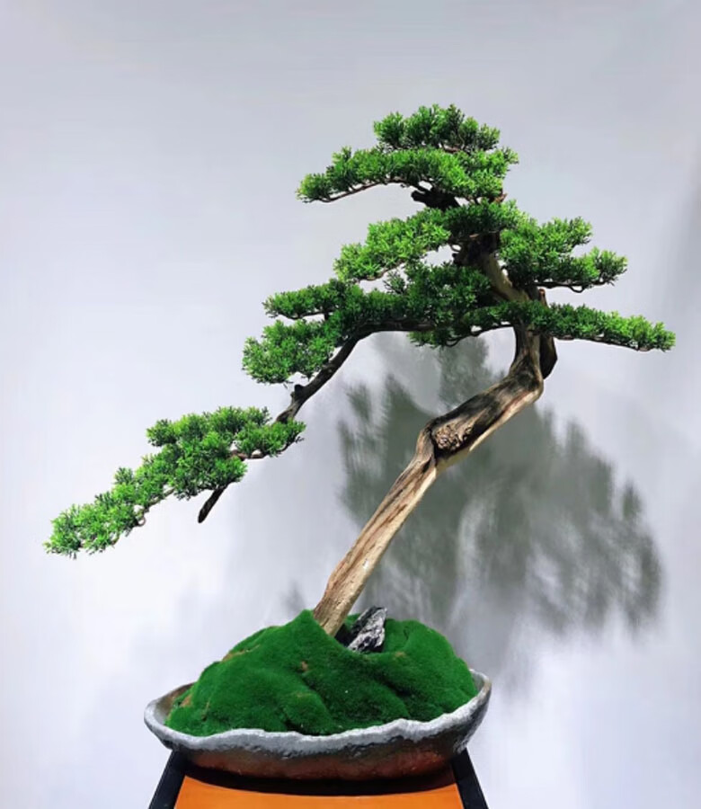 仿真崖柏枝叶 单片仿真松柏树叶装饰叶子假绿植柏树枝仿真美人松迎客