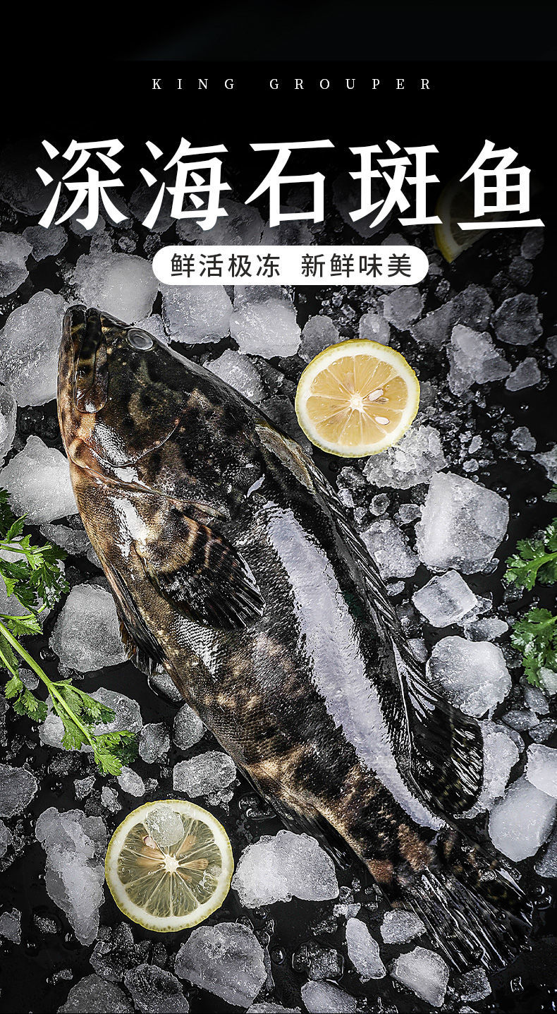 克雷蒙 石斑鱼鲜活现杀速冻深海龙胆石斑鱼东兴老虎斑海鲜水产 石斑鱼