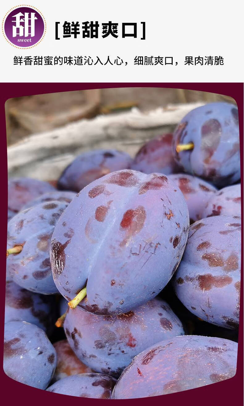 西梅新鲜水果整箱当季孕妇宝宝大脆甜西梅黑布林新疆汶川 3斤大果