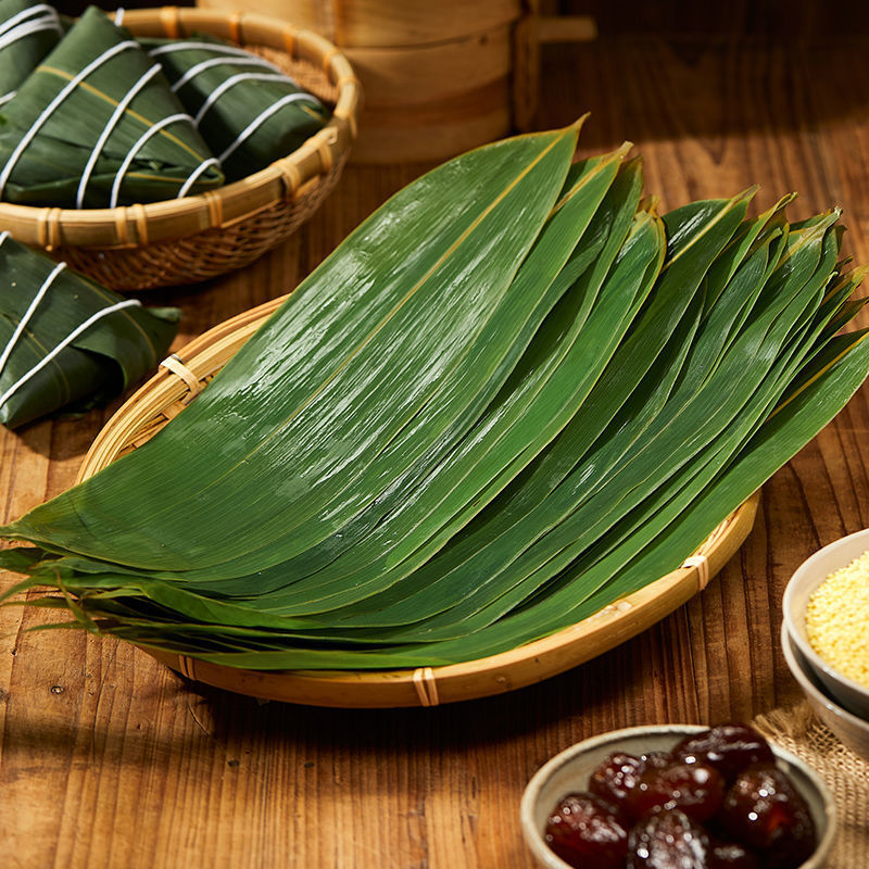 烘干粽子叶粽叶大片包粽子粽叶新鲜粽子叶大叶家用湿棕叶 干粽叶【150
