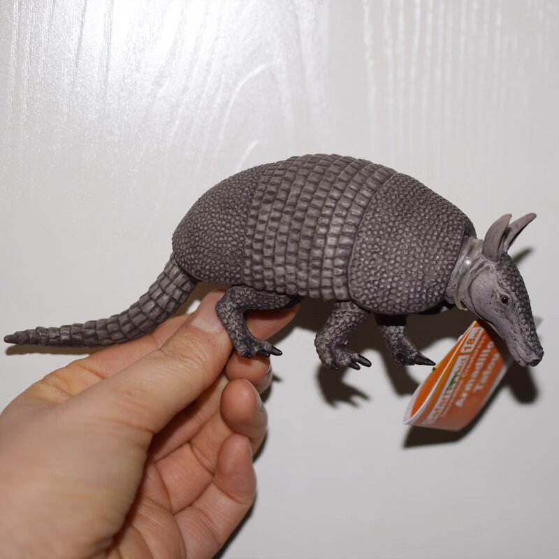 papo动物模型 思乐safari仿真野生动物模型papo少量孤品捡漏儿童玩具