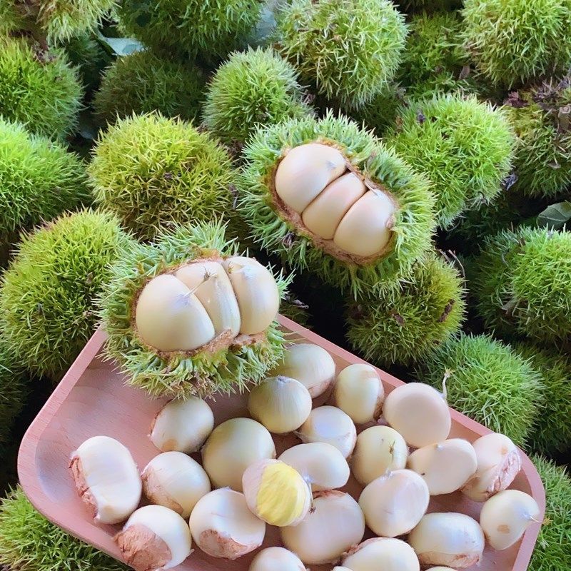 2022新上市带球嫩栗子白皮新鲜生板栗白壳毛栗子新货带刺毛球发货 3斤