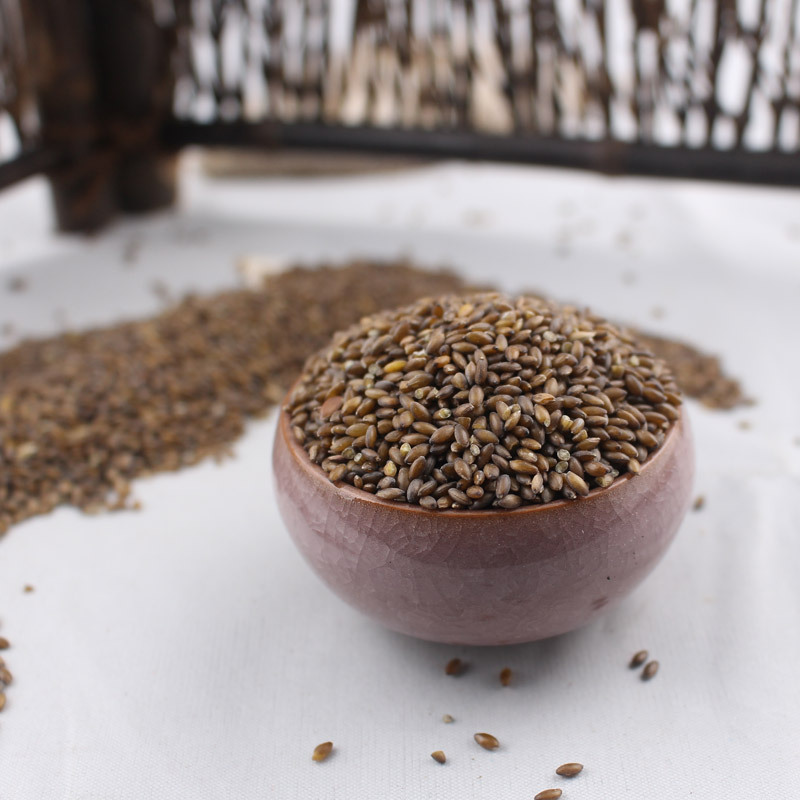 凯偲洽 陕西秦岭黑金谷黑黑金谷粥黑金谷米2斤 金谷米2斤 金谷米2斤