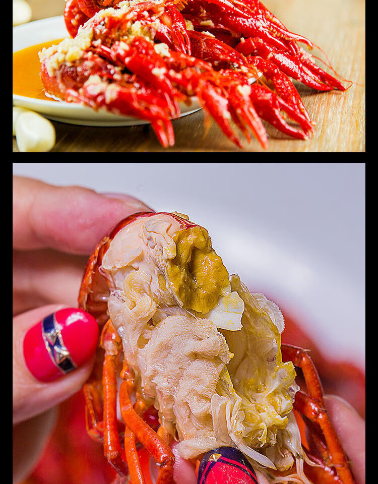 小龙虾特大新鲜活虾潜江淡水清水养殖红青虾香辣麻辣华海春 234钱