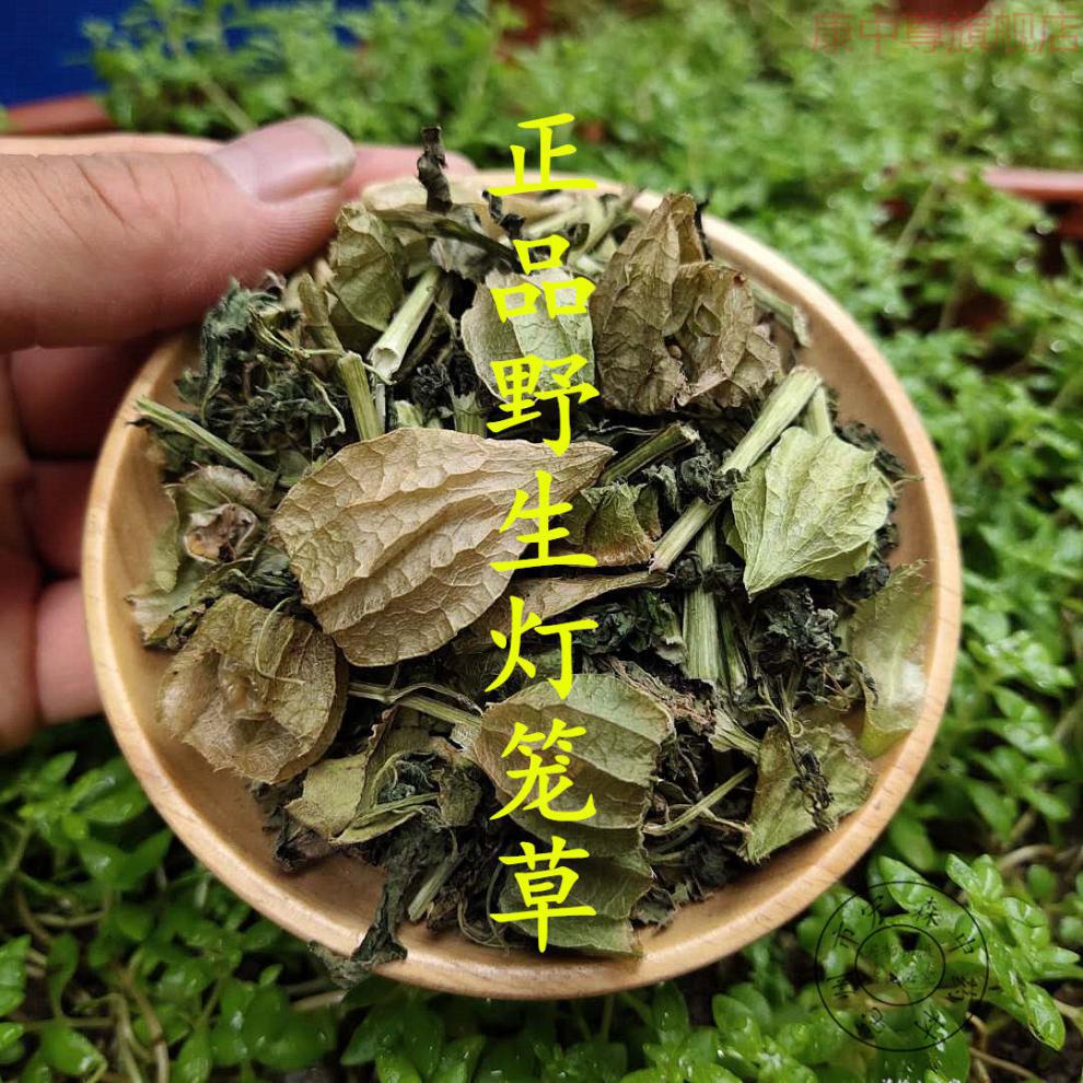 中药原材也生灯笼草 打卜草 打额泡 天泡草 黄灯笼 黄姑娘250克康中尊