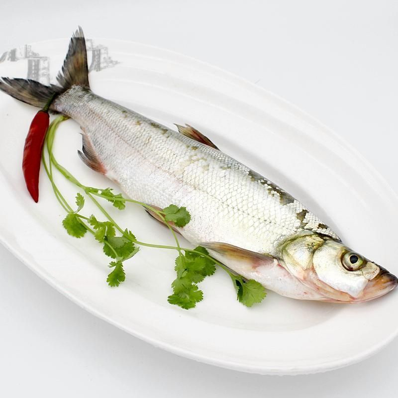 新鲜翘嘴白鱼大白刁翘壳鱼翘嘴鲌活鱼现杀冰鲜斓维品三条装净膛后17斤