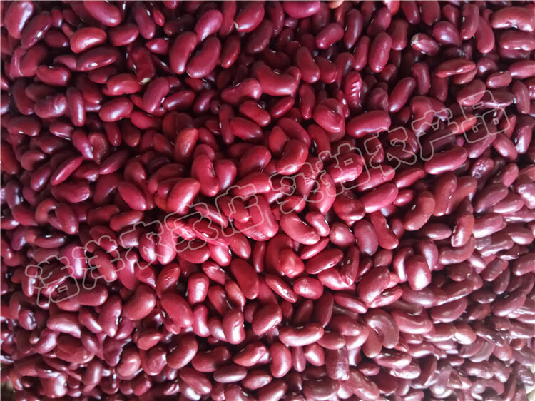 红芸豆红大豆 5斤 农家大红豆饭豆红腰豆红花豆豆浆煲粥 杂粮 红腰豆1