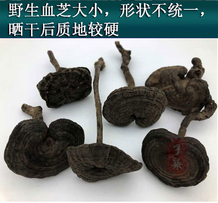 香血灵芝深山黑芝黑灵芝乌芝皱盖假芝可切灵芝片泡酒料 野生香血灵芝