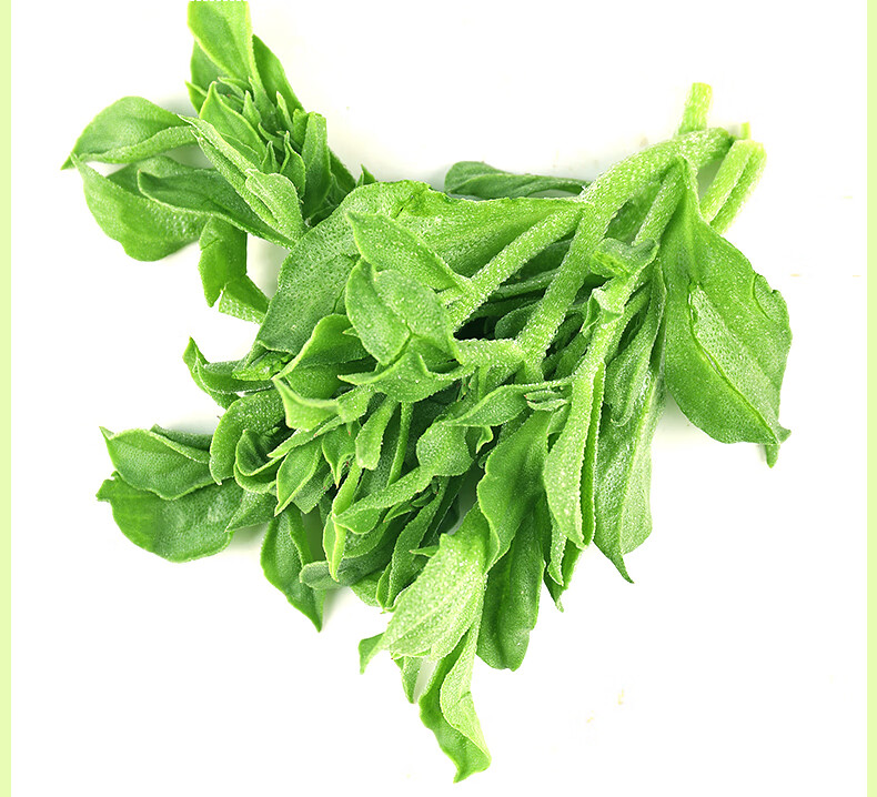 山东新鲜冰草冰叶火锅即食生吃沙拉蔬菜1000g