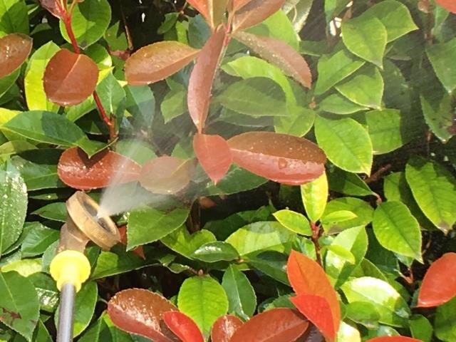 全铜多孔农用喷雾器喷头草坪雾化喷灌喷头菜园林喷洒喷头除尘降温 二