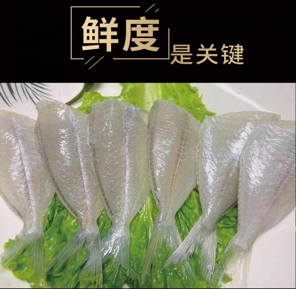 顺丰速运扒皮鱼新鲜小耗儿鱼冷冻马面鱼白尾剥皮鱼批发整箱火锅生鲜姬