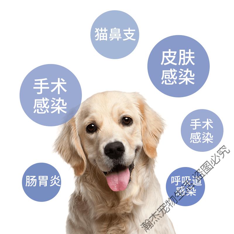 惠可宁硫酸头孢喹肟犬猫发炎鼻支猫瘟细小兽用注射液四代头孢 惠可宁