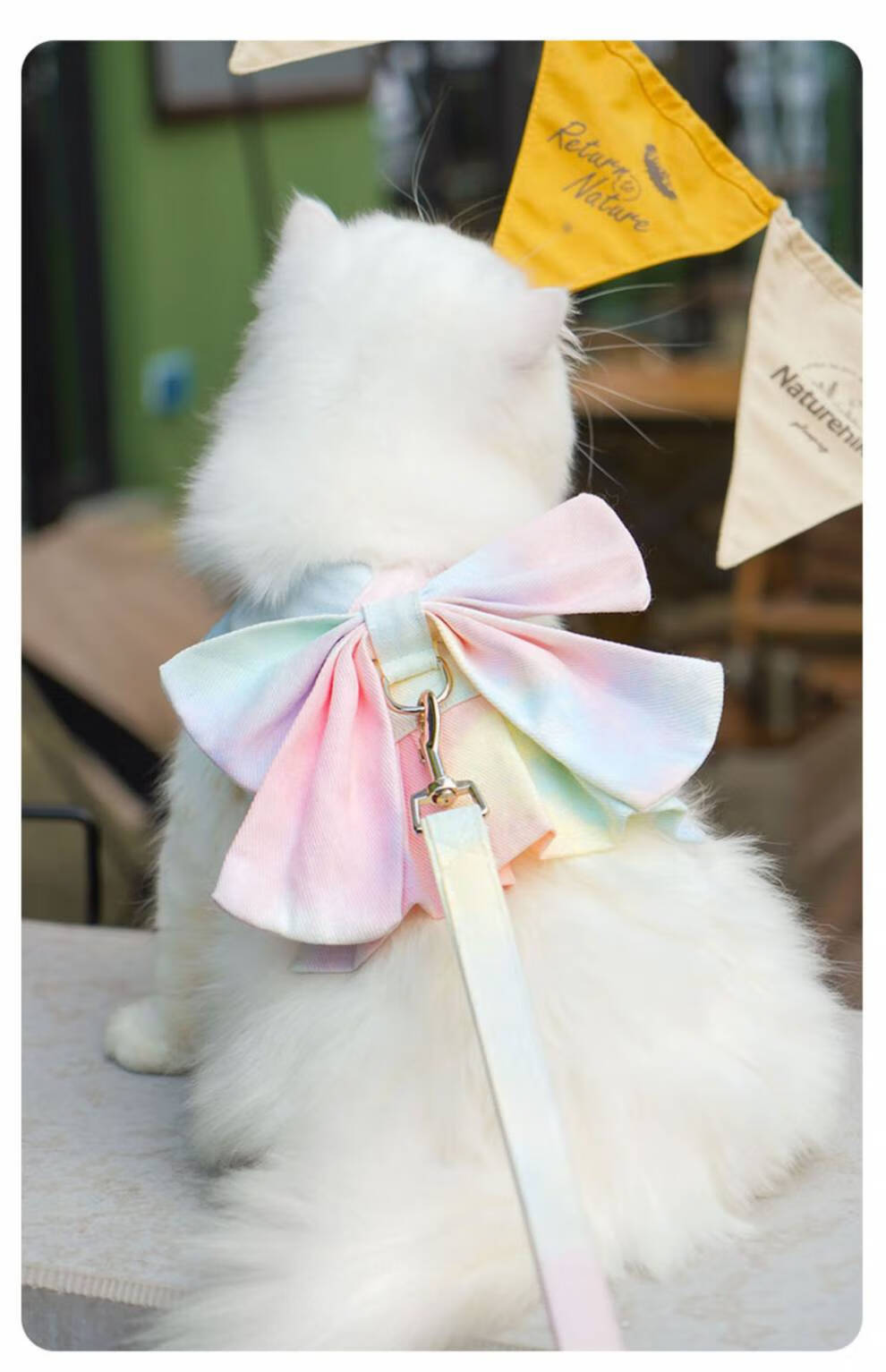 背心式溜猫神器 猫咪牵引绳溜猫神器猫绳子背心式小型可爱外出背带猫
