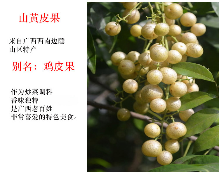 野珍 山黄皮300gx2瓶 广西特产腌制山黄皮鸡皮果炒鸭焖鱼扣肉调料