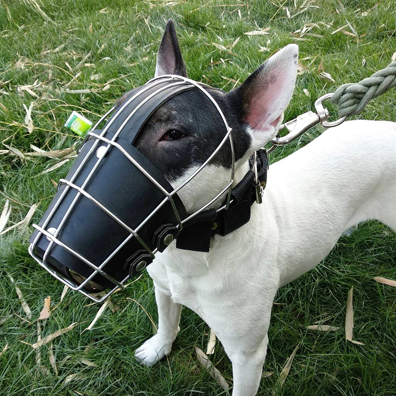 狗套嘴套 不锈钢防扒一体狗嘴套宠物狗大型猛犬防咬防吃杜宾牛头梗