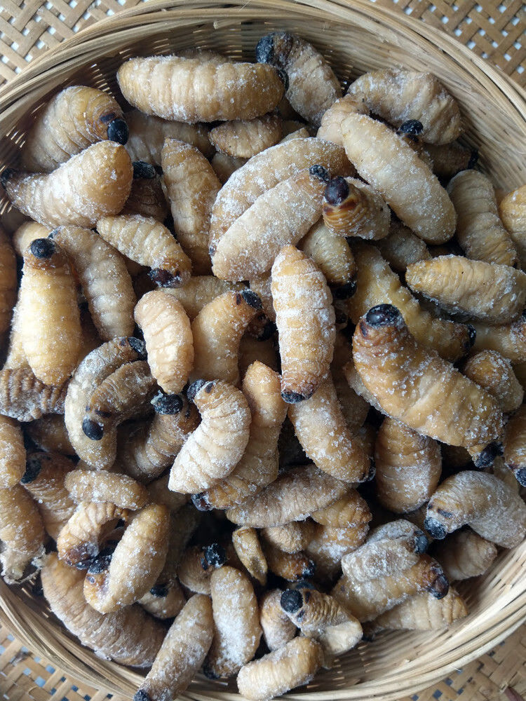 竹虫新鲜 速冻大竹虫竹笋虫竹蛹干冻无冰大竹蛆笋蛆笋子虫生鲜全国