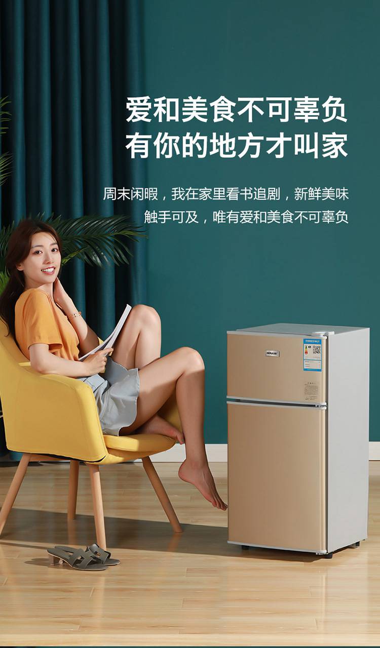 日普小型电冰箱冷藏冷冻迷你双温宿舍租房家用节能一级能效华幻 136升