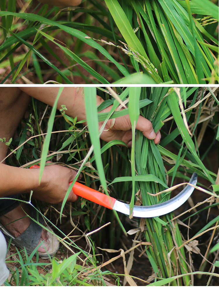 不锈钢镰刀农用细齿割草刀锯齿割韭菜小禾镰刀除草链刀收割小麦 钢管