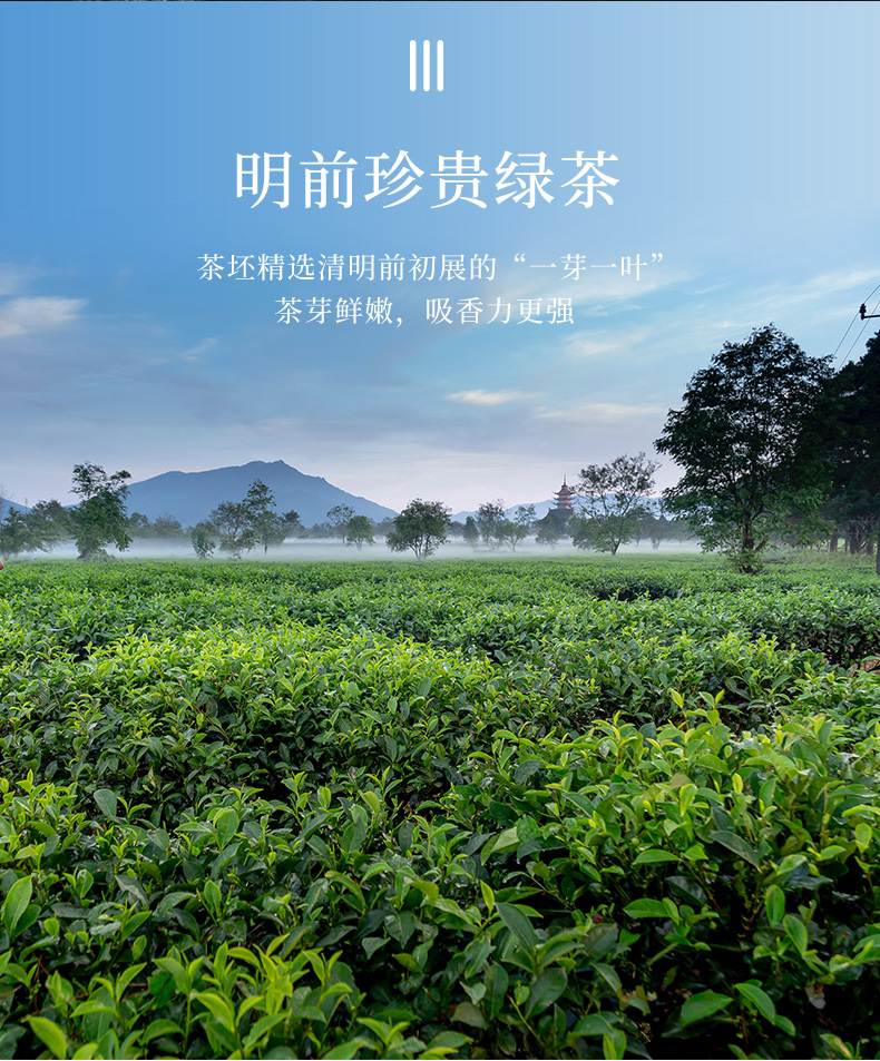 张一元茶叶花茶茉莉花茶(龙毫)自饮装 50g【图片 价格 品牌 报价】