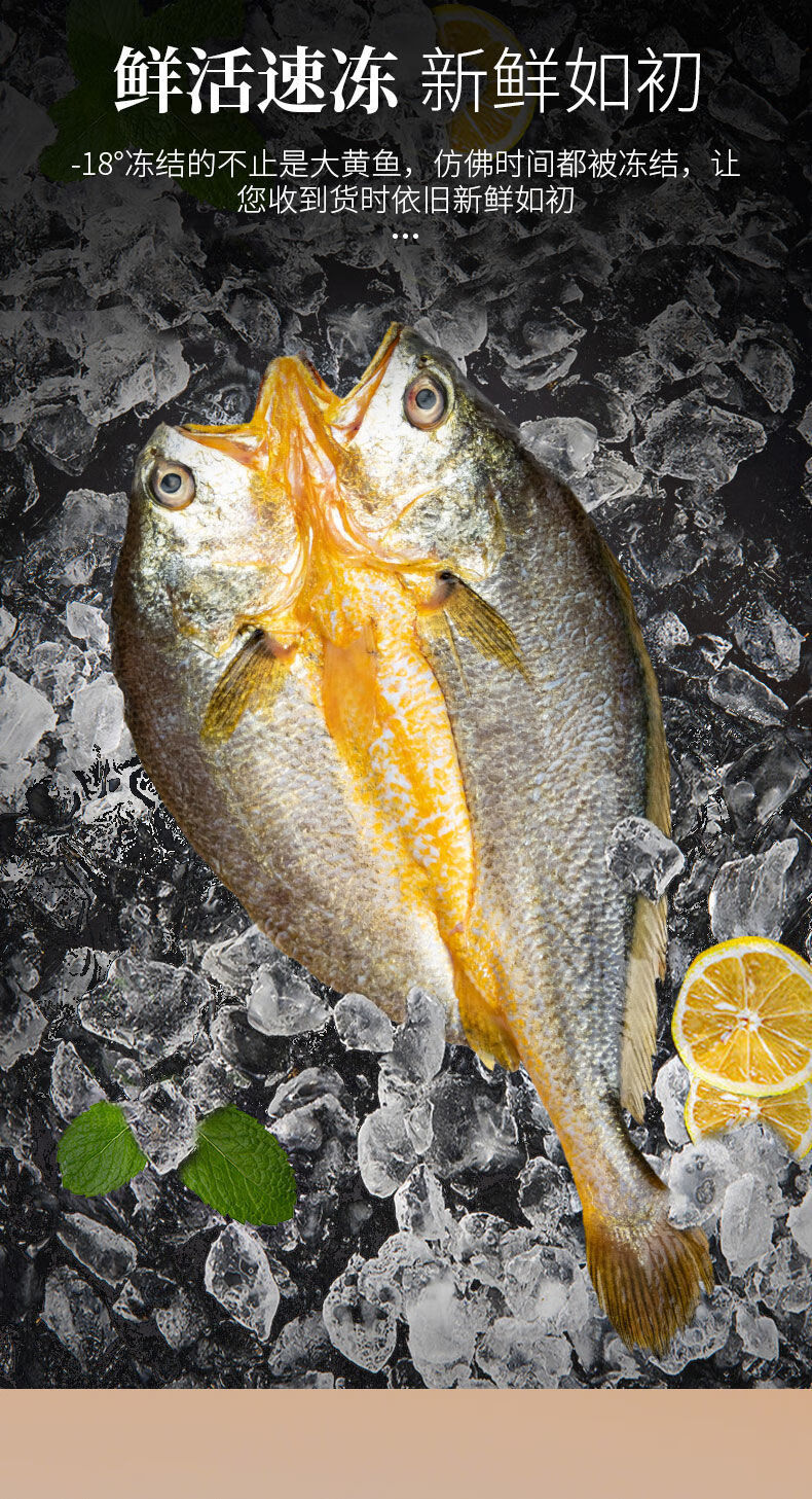 黄花鱼开背黄鱼鲞新鲜大黄鱼免洗即烹黄鱼干礼盒咸鱼海鲜水产300克5条