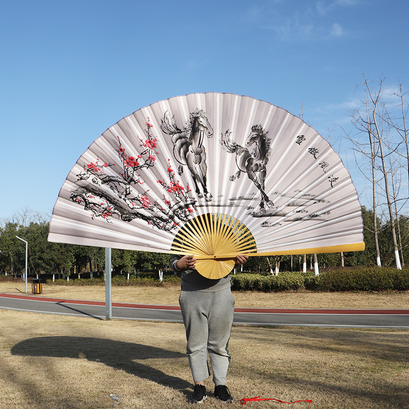 大扇子舞蹈扇 舞蹈扇子跳舞扇 超大扇子客厅卧室挂墙装饰大折扇礼品