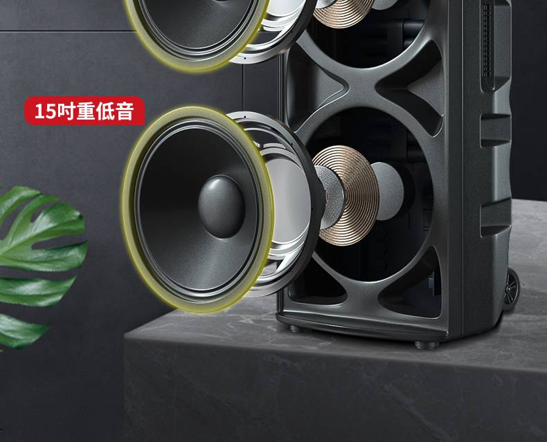 先科(sast)1507广场舞音响舞台演出k歌音箱双15吋喇叭大型声音功率