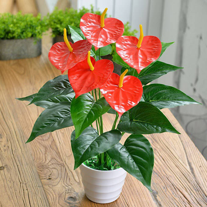 1支红掌 白色花瓶送草 品名 :仿真18头红掌 材质:塑料 尺寸:总长50