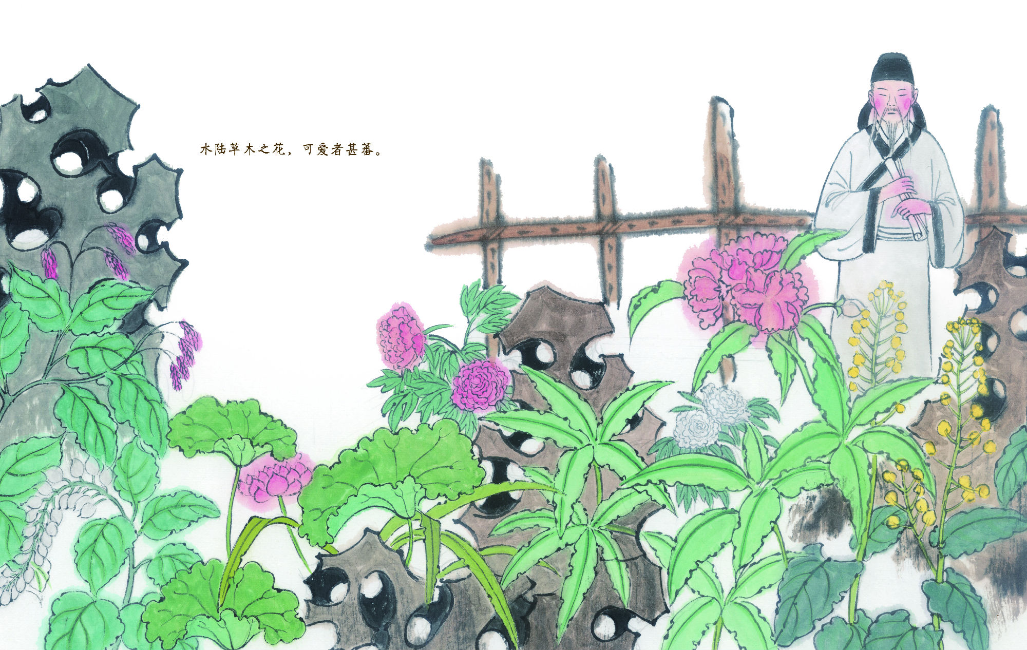 官方正版中国古典美文绘本北冥有鱼