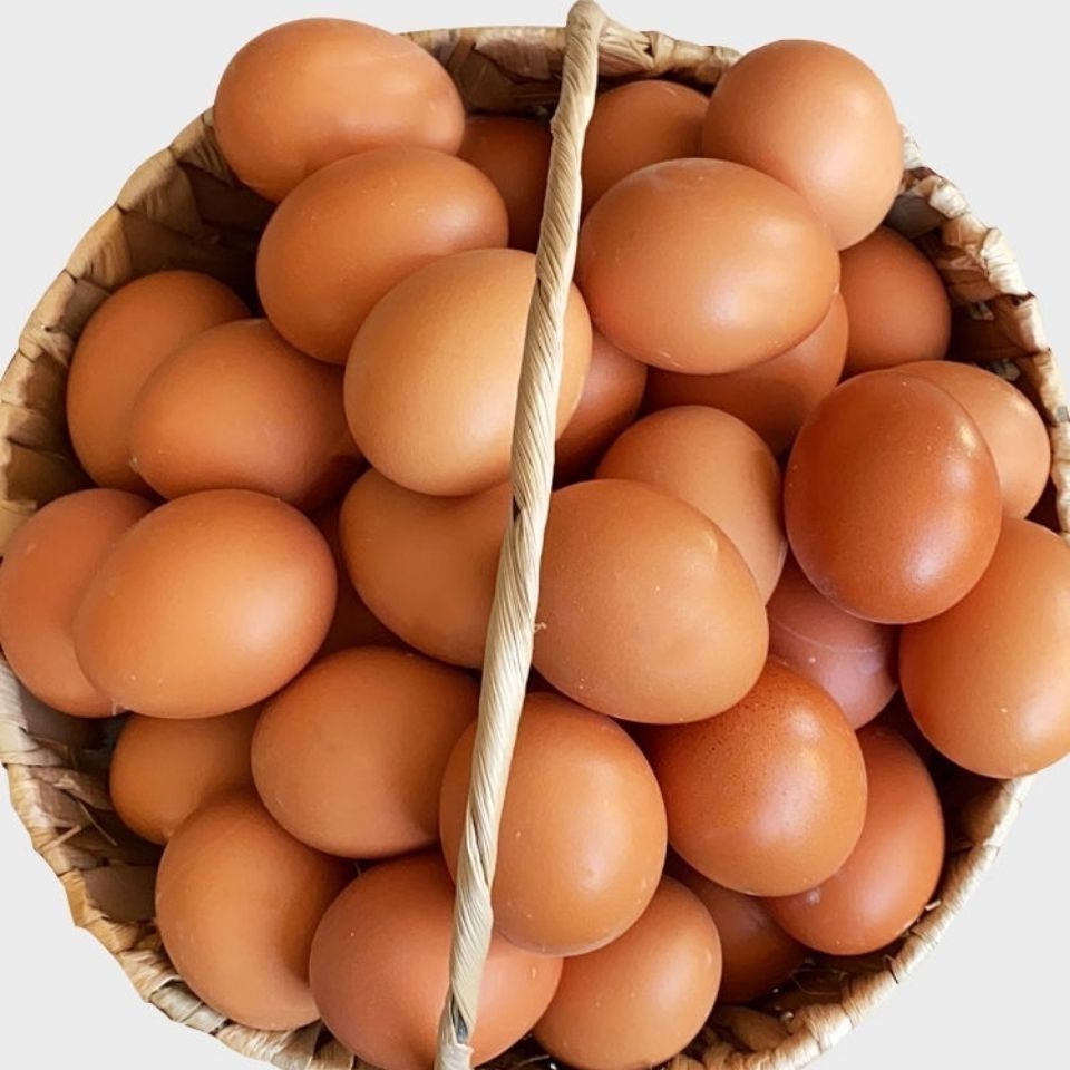 腾旺纳跃腾旺纳跃现捡现发农家正宗红皮鸡蛋红壳鲜鸡蛋洋鸡蛋天然40个