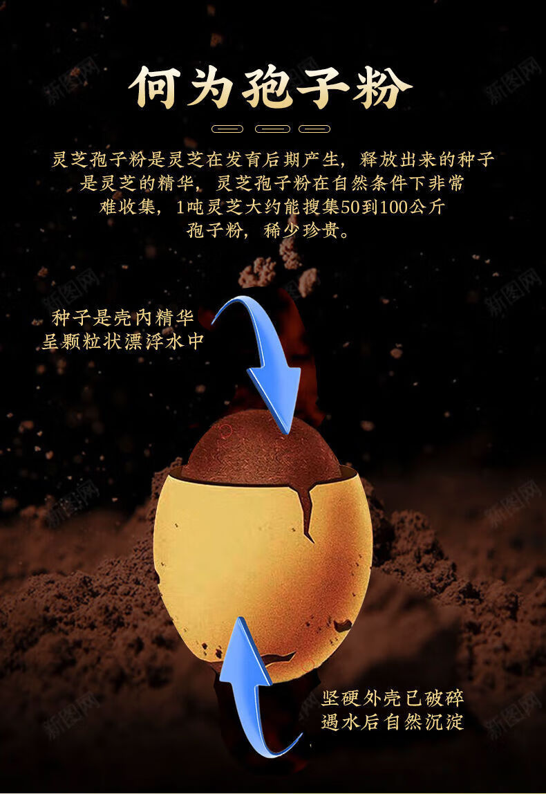 fa3a9e933d258a9e.jpg