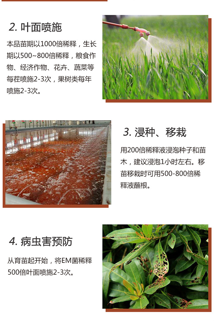 Em原露土壤改良剂种植原液花卉伴侣生物菌肥花卉肥料园艺多肉植物em菌种植专用1kg 图片价格品牌报价 京东