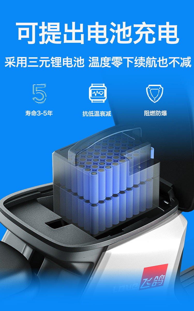 飞鸽电动车锂电外卖电瓶车新国标电动自行车小型踏板助力代步电车锂电