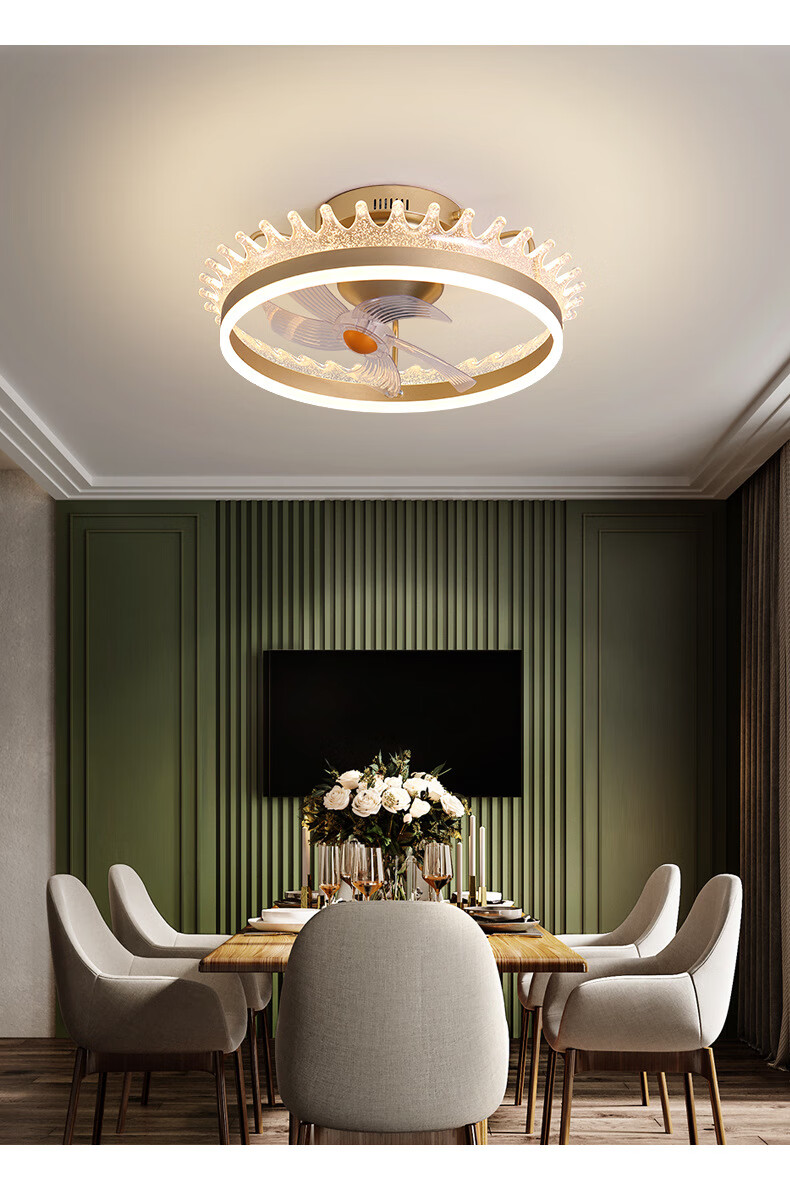 可摇头吸顶风扇灯家用客厅卧室餐厅电扇隐形轻奢吊扇灯带风扇吊灯 c款