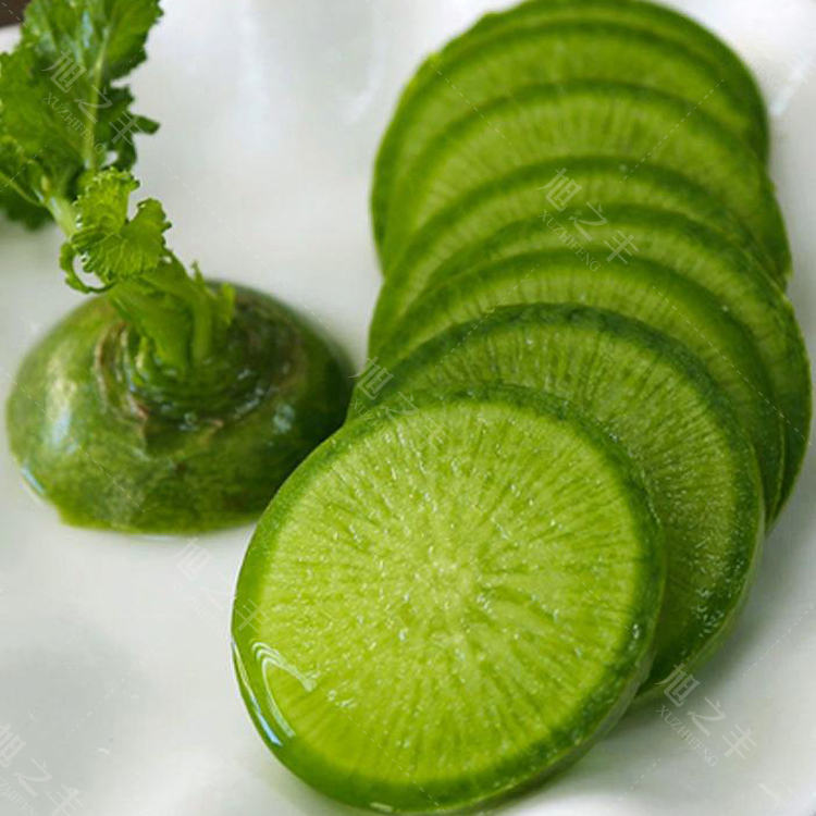 直径3-5厘米,生育期65天,靓秀水果萝卜10克原装国产/进口:国产适播