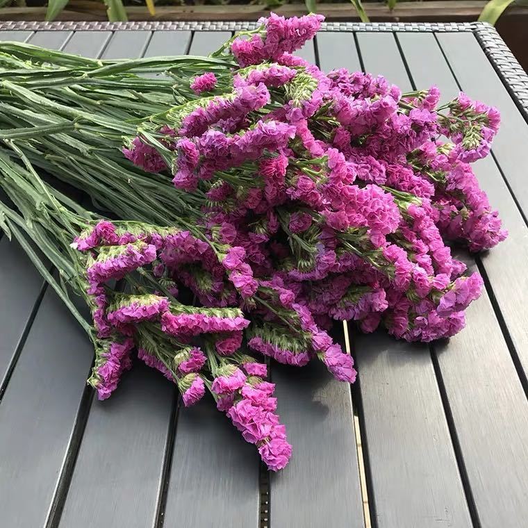 勿忘我干花风干花束居家客厅办公装饰云南基地直发 淡紫色勿忘我 6支